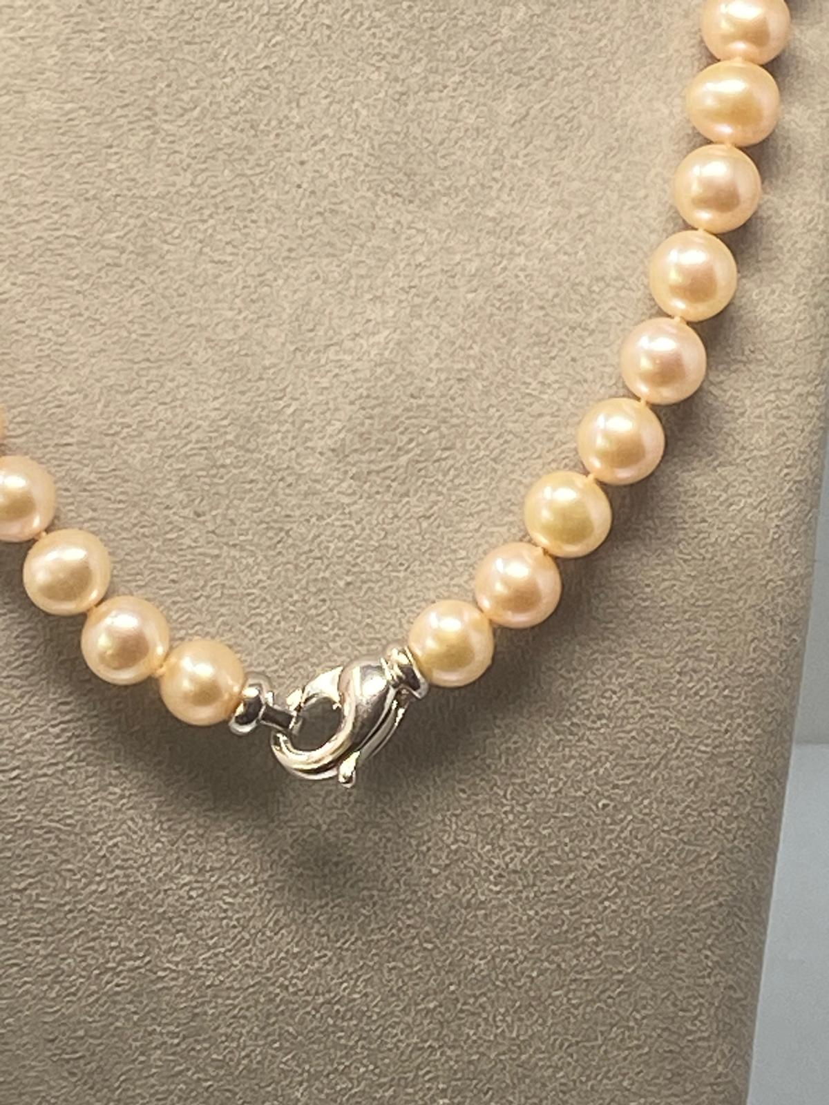 Pale Pink Freshwater Pearls