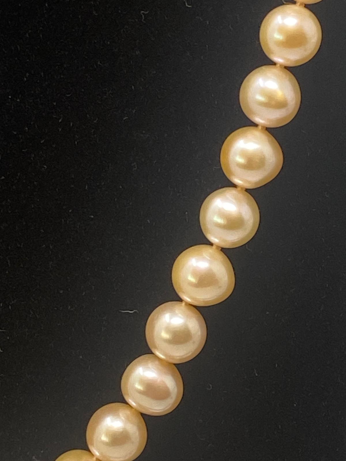 Pale Pink Freshwater Pearls